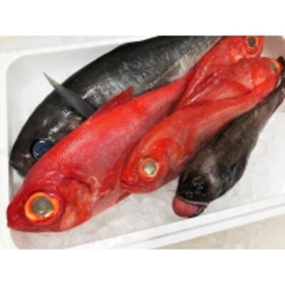 Toyosu Air Seafood Market Fine Cuisine Fishbox Exporters, Wholesaler & Manufacturer | Globaltradeplaza.com