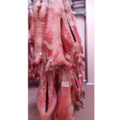 resources of Halal Mutton Carcass exporters