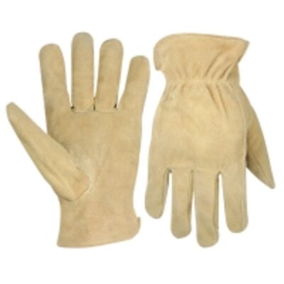 resources of Driving Gloves exporters