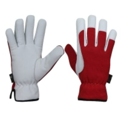 resources of Assembly Gloves exporters