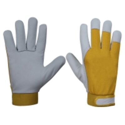 resources of Assembly Gloves exporters