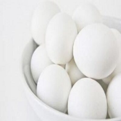 resources of White Egg exporters
