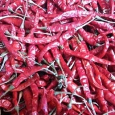resources of Teja S 17 Dry Red Chillies exporters