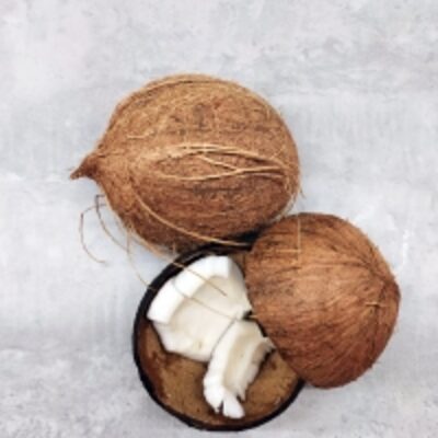 resources of Semi Husked Coconuts exporters