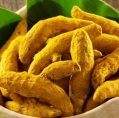 resources of Turmeric exporters