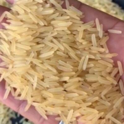 1121 Golden Basmati Rice Exporters, Wholesaler & Manufacturer | Globaltradeplaza.com
