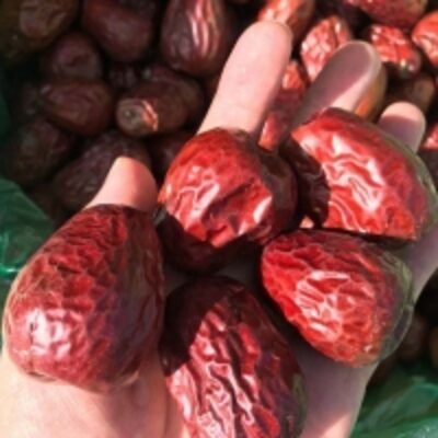 resources of Dried Red Jujube exporters