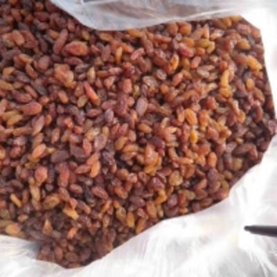 resources of Red (Sultana)Raisin exporters