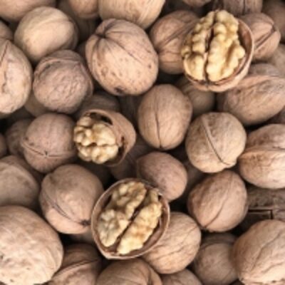 resources of Walnuts In Shell exporters