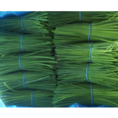 resources of Double Cut Chives 1Kg Box exporters