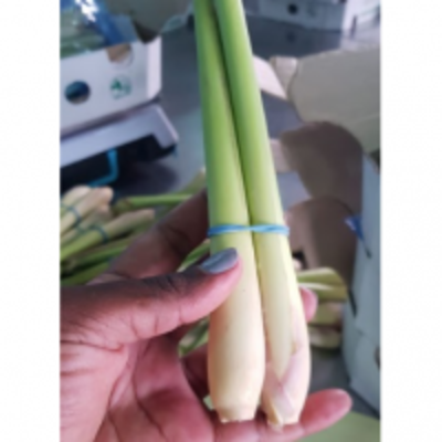 resources of Lemongrass exporters