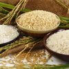 Jasmine Rice Exporters, Wholesaler & Manufacturer | Globaltradeplaza.com