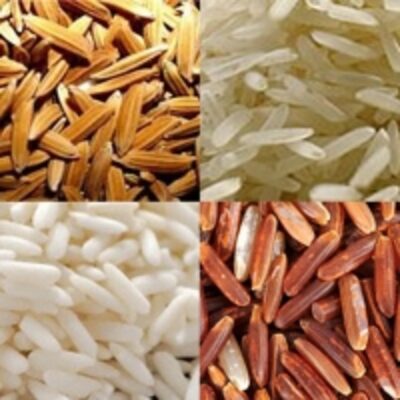 Parboiled Rice Exporters, Wholesaler & Manufacturer | Globaltradeplaza.com