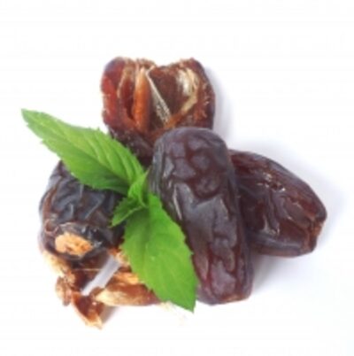 resources of Holy Land Medjool Dates exporters