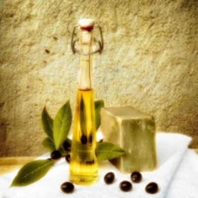 resources of Olive Oil Soap exporters