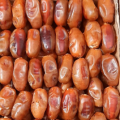 resources of Dates exporters