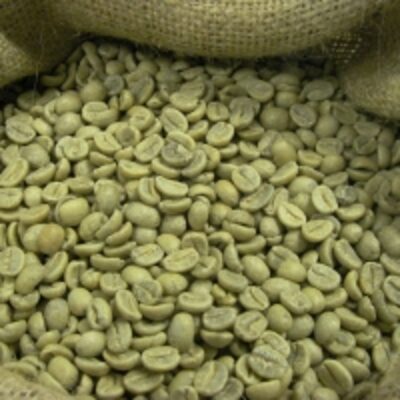 Arabica Green Coffee Beans Grade A Exporters, Wholesaler & Manufacturer | Globaltradeplaza.com