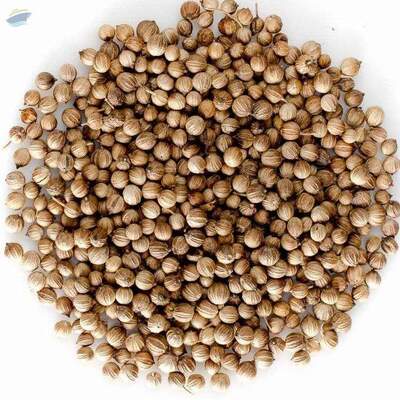 Coriander Whole Seeds Exporters, Wholesaler & Manufacturer | Globaltradeplaza.com