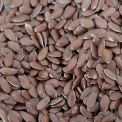 Brown Flax Seeds Exporters, Wholesaler & Manufacturer | Globaltradeplaza.com