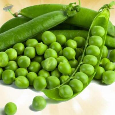 Green Peas - For Human Consumption Exporters, Wholesaler & Manufacturer | Globaltradeplaza.com