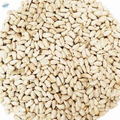 Saflowers Seeds Exporters, Wholesaler & Manufacturer | Globaltradeplaza.com