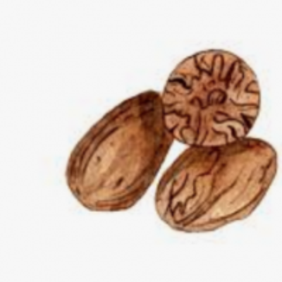 resources of Nutmeg exporters
