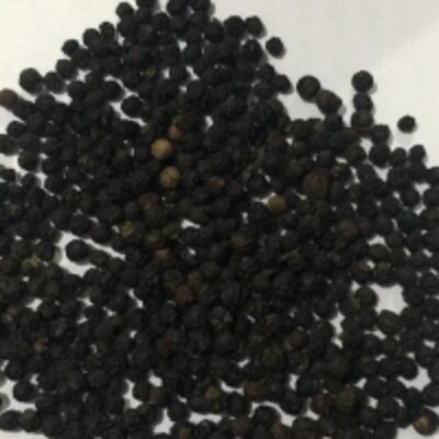 resources of Ceylon Black Pepper exporters