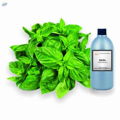resources of Basil Essential Oil exporters