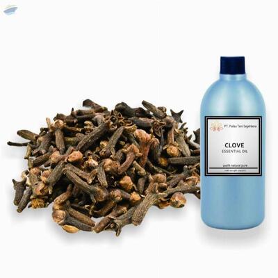 resources of Clove Essential Oil exporters