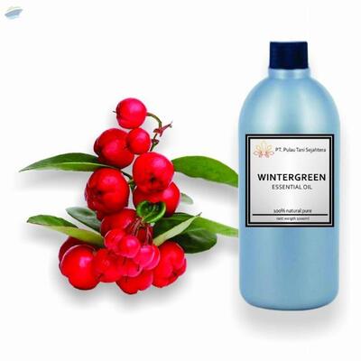 resources of Wintergreen Essential Oil exporters