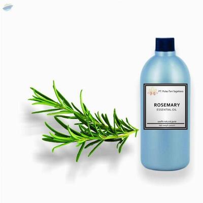 resources of Rosemary Essential Oil exporters