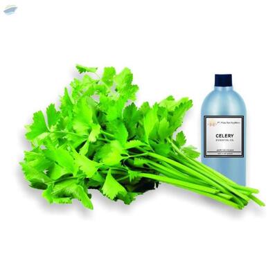resources of Celery Essential Oil exporters