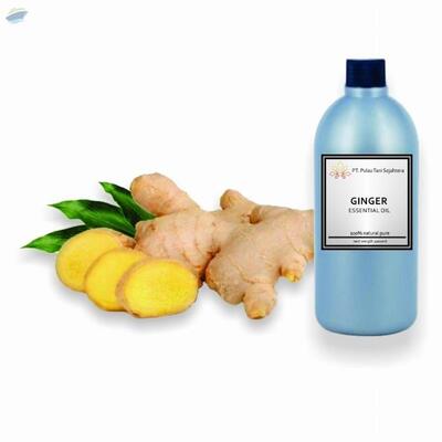 resources of Ginger Essential Oil exporters