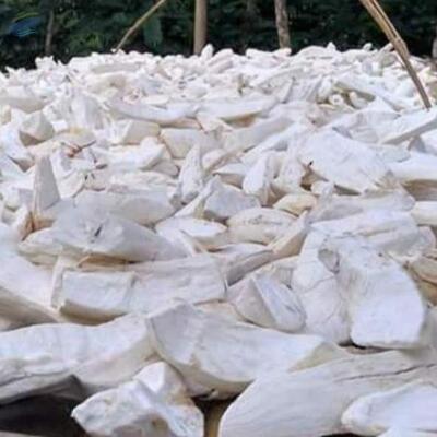 resources of Dried Cassava exporters
