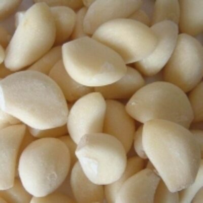 resources of Frozen Premium Garlic exporters