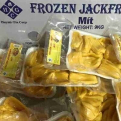 resources of Frozen Jackfruit Meat exporters