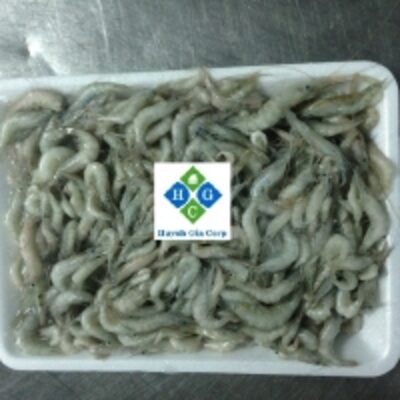 resources of Frozen Baby Natural Shrimp (Riceland Shrimp) exporters