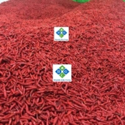 resources of Fresh Red Chili exporters