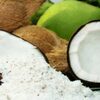 Desiccated Coconut Exporters, Wholesaler & Manufacturer | Globaltradeplaza.com