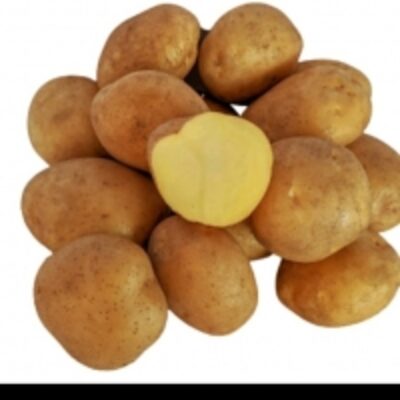 resources of Fresh Potato exporters