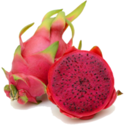 resources of Fresh Dragon Fruit Red-Fleshed exporters