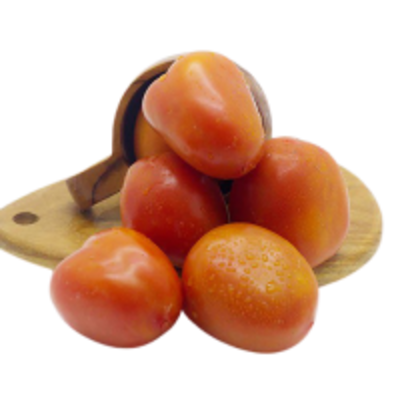 resources of Fresh Tomato exporters