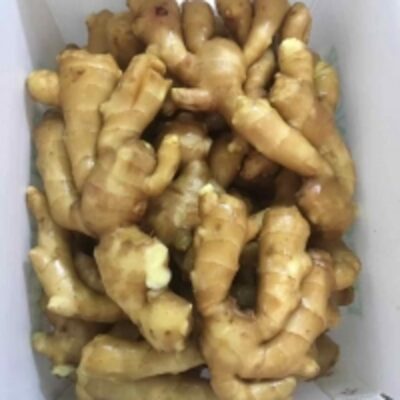 resources of Fresh Ginger exporters