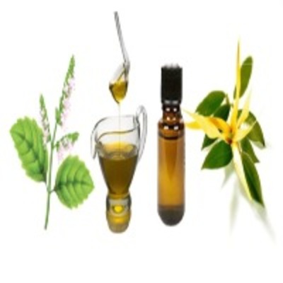 resources of Lemongrass Oil exporters