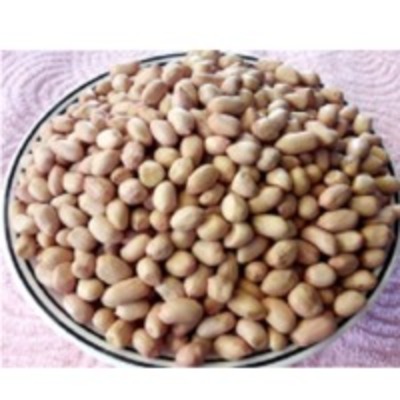 Groundnuts Exporters, Wholesaler & Manufacturer | Globaltradeplaza.com