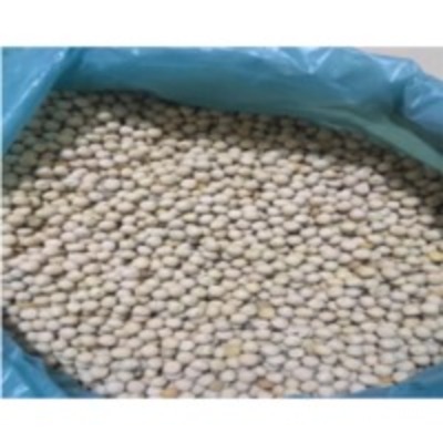 Yellow Peas Exporters, Wholesaler & Manufacturer | Globaltradeplaza.com