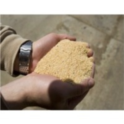 Soybean Exporters, Wholesaler & Manufacturer | Globaltradeplaza.com