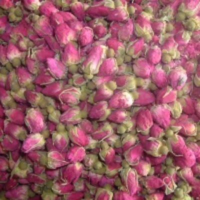 resources of Rose Petals exporters