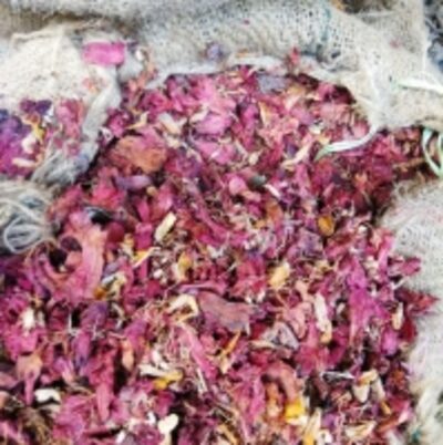 resources of Hibiscus Flower exporters