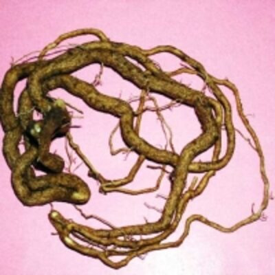 resources of Rauvofia Root exporters